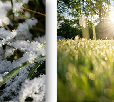 snö-dagg[1]